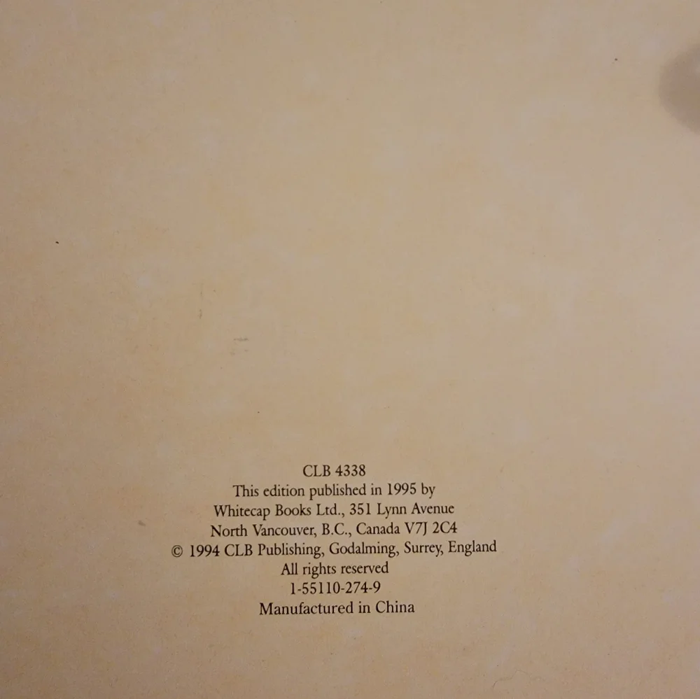💓 1995 VICTORIAN Photograph Album Hardcover - Picture 8 of 8